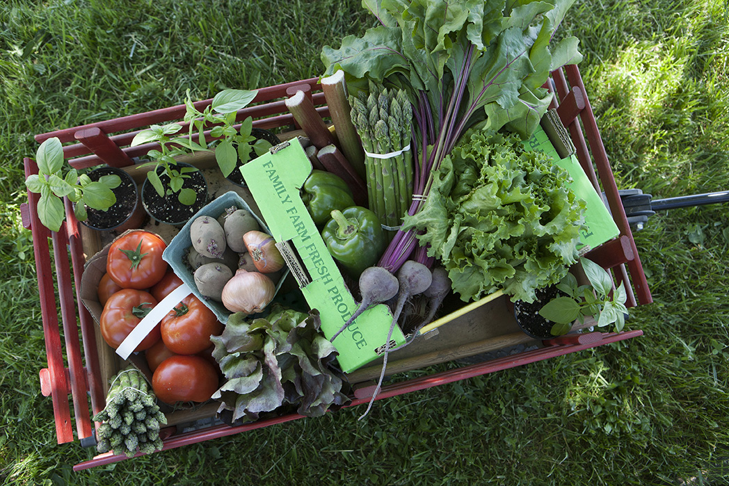 wagon of vegetables