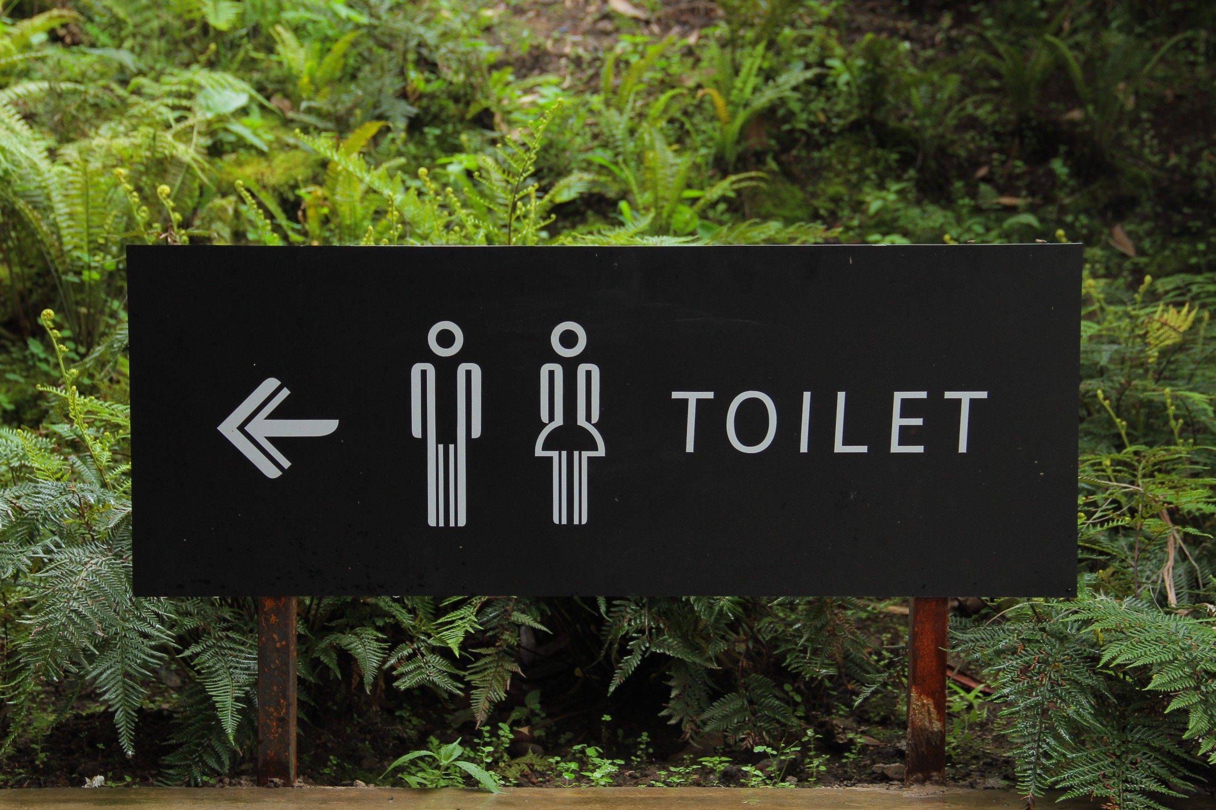 toilet sign