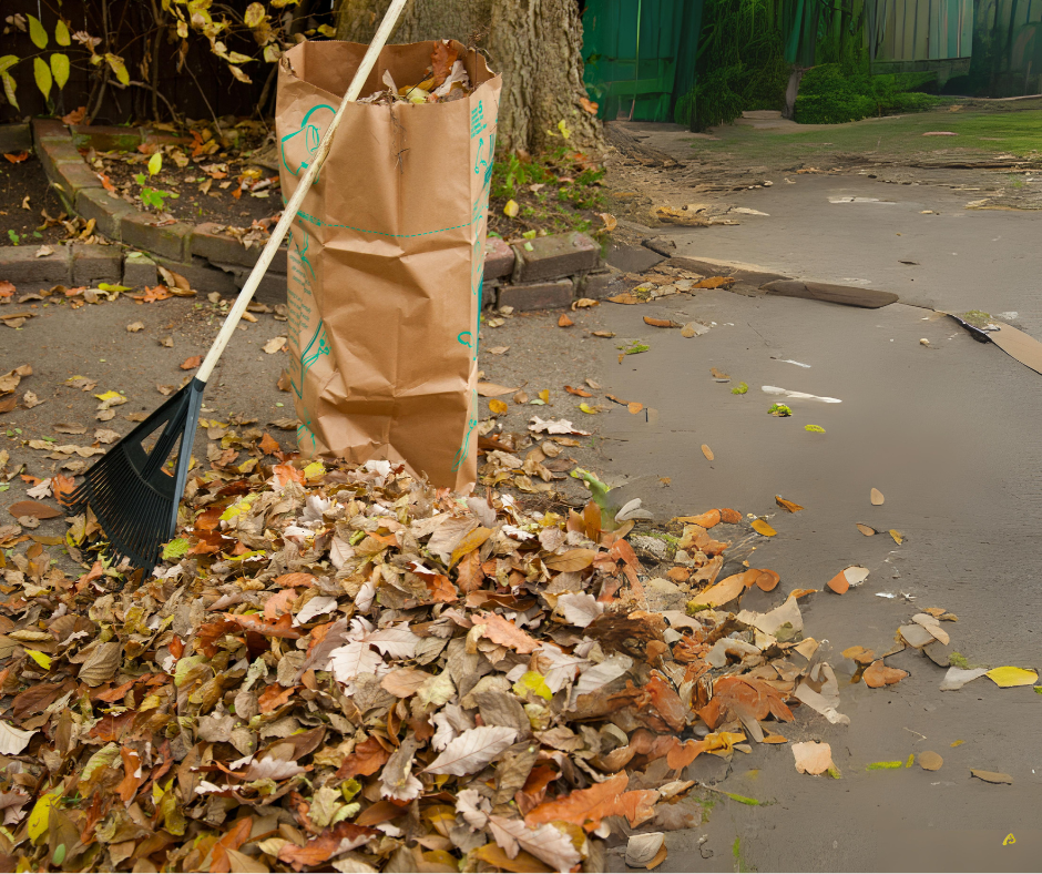 Image of Fall Leaf Collection Dates 2024